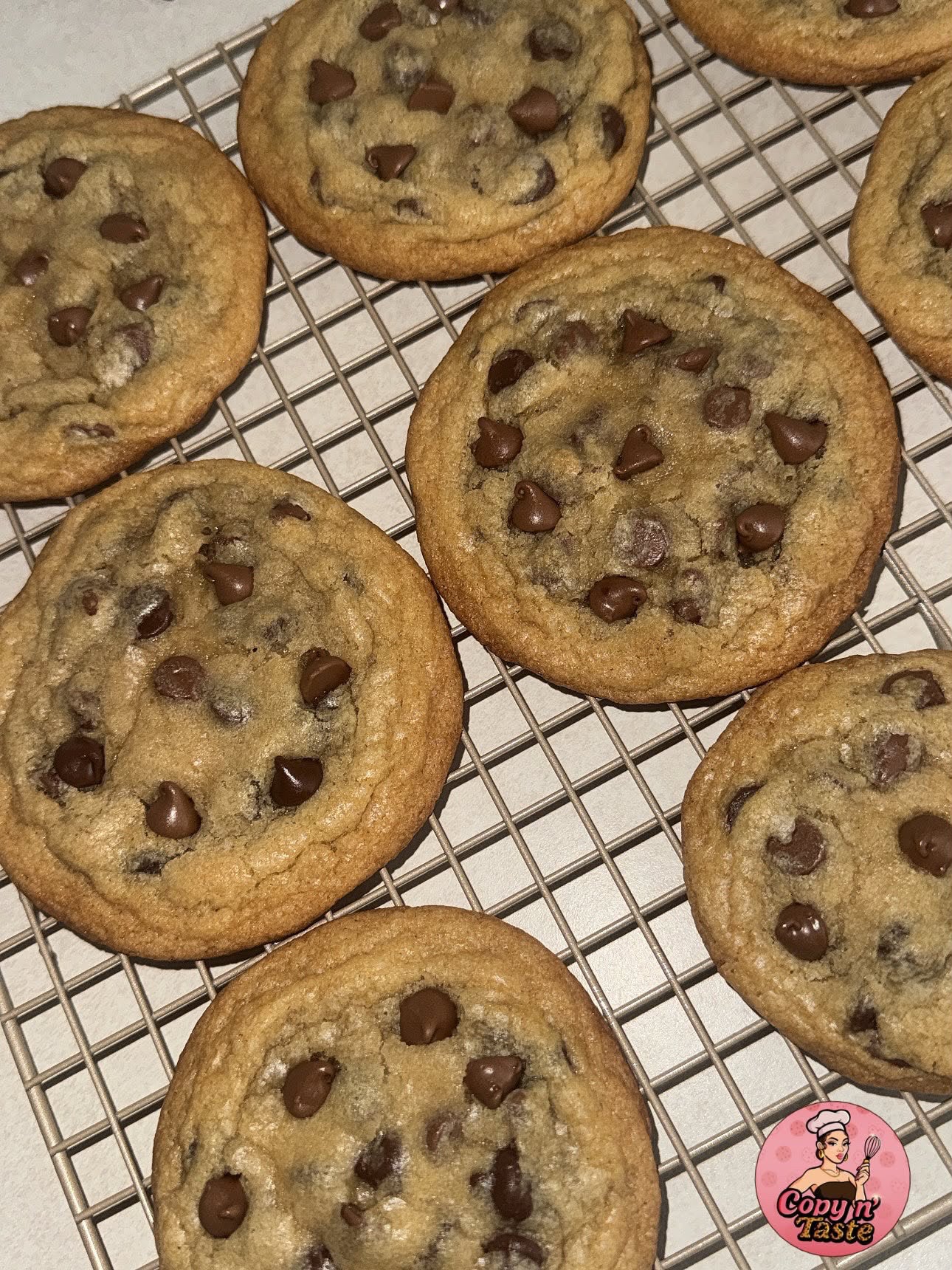 Chocolate Chip - 6 Pack